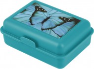 BAAGL Box na svainu Butterfly