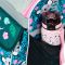 BAAGL 5 SET Zippy Baby Koala: aktovka, penl, se