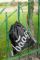 BAAGL Sek Skate Black
