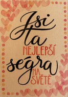 Pnko BeBechy  recyklovan papr  Sgra - zvtit obrzek