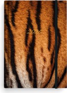 T�denn� di�� - Prokop - Lamino - B6 - Tygr