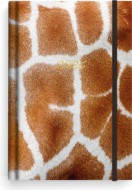 T�denn� di�� - Prokop - Lamino - B6 - �irafa