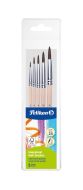 Pelikan - ttce sada 24 . 2,6,8,10,12 - zvtit obrzek