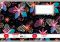 Herlitz - Se�it 544 motivov�, mix holky
