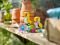 LEGO CREATOR Kvtiny v konvice 3v1 31149 STAVEBNI