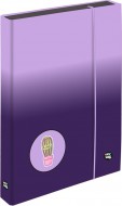 Box na seity A4 Jumbo OXY NEXT Ombre Purple - zvtit obrzek