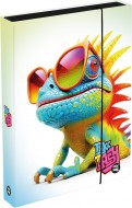 Box na seity A4 Jumbo Chameleon - zvtit obrzek