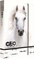 Box na seity A4 Jumbo GEO WILD k - 2022 - zvtit obrzek