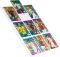 Pr�hledn� obal A4 PP SPORT karty, 80mic lesk