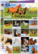 Pexeso 3xA4 Kon 5300904 - zvtit obrzek