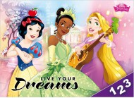Desky na slice Disney (Princess) 8020831
