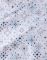 sek vnon 16x25cm Crystal 5800777