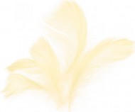 Pe�� 10g kr�mov�