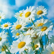 Ubrousky celoron Sun Daisies, 33 x 33 cm - zvtit obrzek
