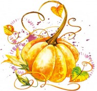 Ubrousky celoron  Nature Pumpkin, 33 x33 cm - zvtit obrzek