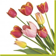 Ubrousky celoro�n� SDWI 0071 01, Tulip�ny