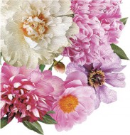 Ubrousky celoron Kvetouc pivoky, 33 x 33 cm, SLOG 0537 01 - zvtit obrzek