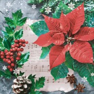 Ubrousky vnon SL GW 027301 - zvtit obrzek