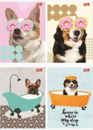 Seit koln A5, 60 list linkovan, Funny Dog - zvtit obrzek