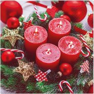 Ubrousky vnon TL235700 - zvtit obrzek