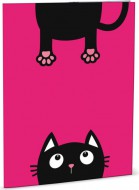 Desky na abecedu Crazy Kitten