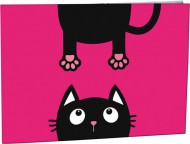 Desky na slice Crazy Kitten