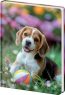Pamtnk A5 13x18cm ist Doggie