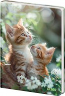 Pamtnk A5 13x18cm ist Tabby - zvtit obrzek