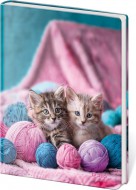 Pam�tn�k A5 13 x 18 cm �ist� Babes