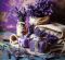 Kalend�� Provence - v�zanka