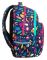  Studentsk� batoh Basic Plus 17 Lady Color 