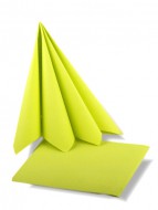 Ubrousky Duni 40x40 - kiwi - zvtit obrzek