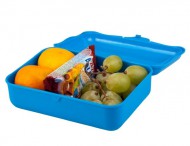 Box na svainu Lunch modr