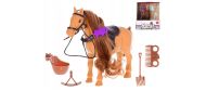 K�� 17cm s dopl�ky, 2 barvy