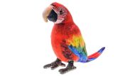 Papou�ek Ara ply�ov� 20 cm - �erven�