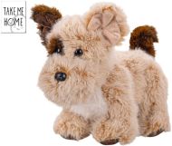Take Me Home Pes plyov stojc, 24cm  - zvtit obrzek