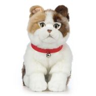 Ko�ka skotsk� klapouch� sed�c�, ply� 40cm