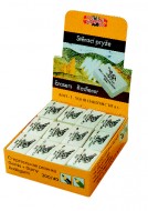Pry Slon - zvtit obrzek