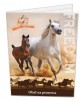 Desky na abecedu HORSE FREEDOM 