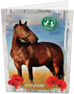 Desky na abecedu Lucky Horse 