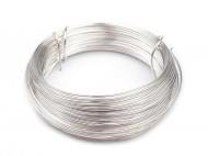 Dr�t m�d�n�, lakovan� 0,8 mm 1 st��brn� sv�tl�, 1 ks - zv�t�it obr�zek